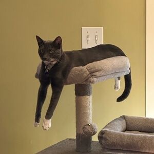 Meet your Posher, Lorena